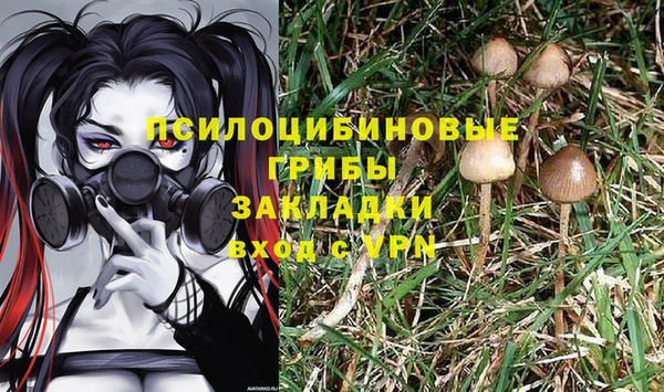 гашишное масло Касимов