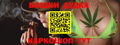 гидропоника Новозыбков