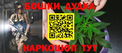 МДПВ Новодвинск