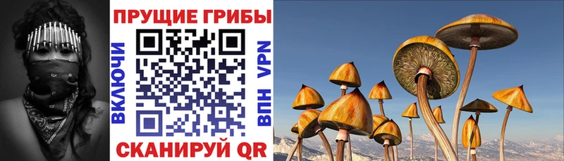 Галлюциногенные грибы GOLDEN TEACHER  mega как зайти  Химки 